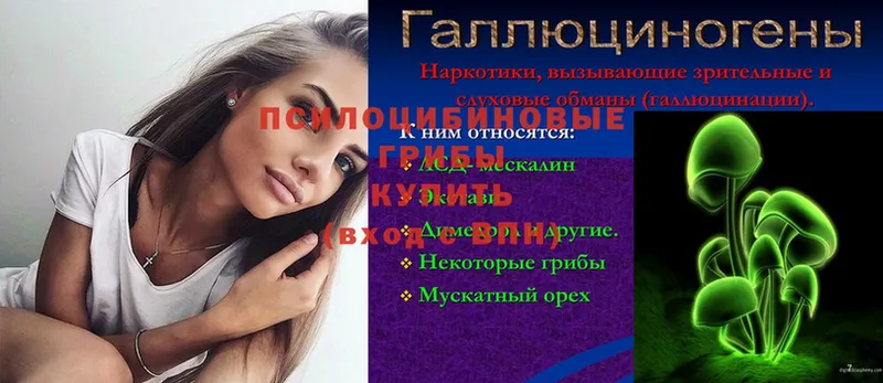 MEGA зеркало  Коряжма  Галлюциногенные грибы Psilocybe 